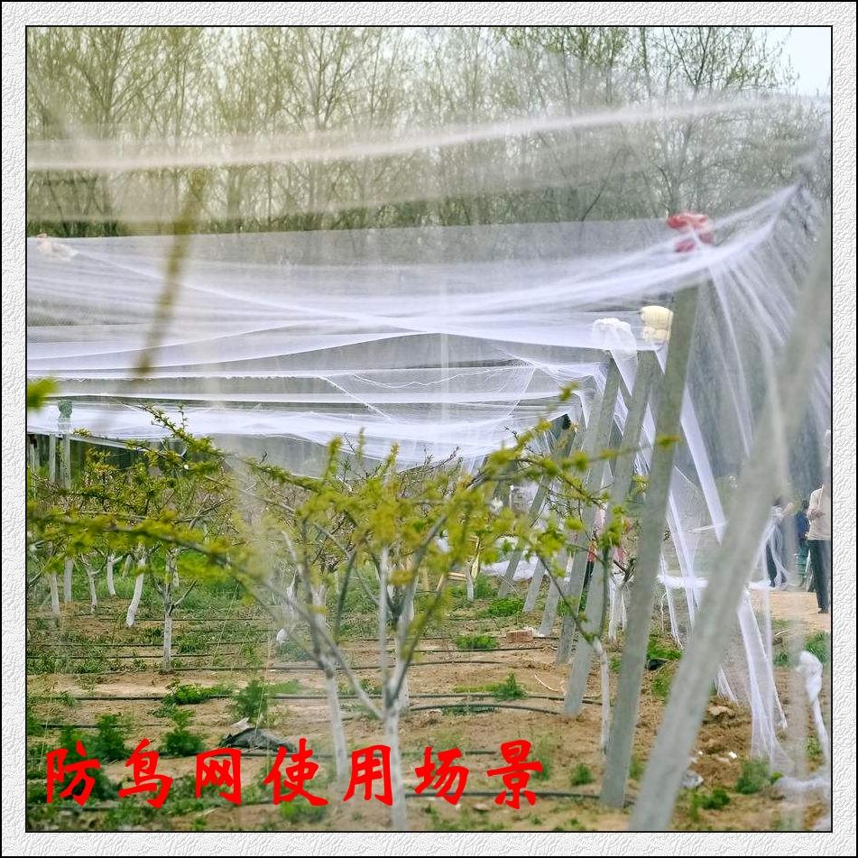 **防曬網(wǎng)**建設(shè)廠家，實(shí)用的遮陽網(wǎng)