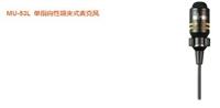 無線麥克風(fēng)**信陽公司