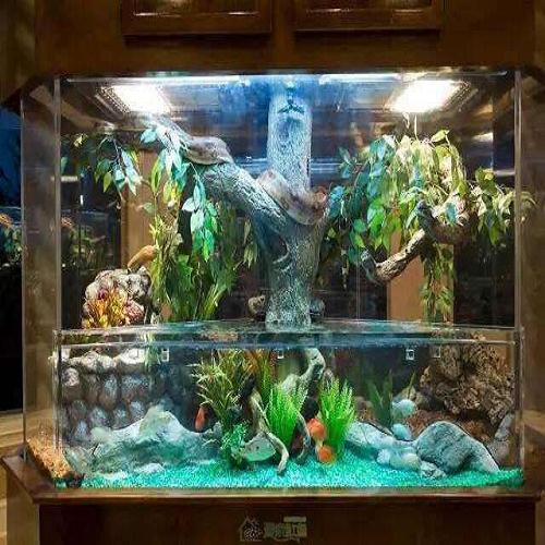 西城區水族養護公司
