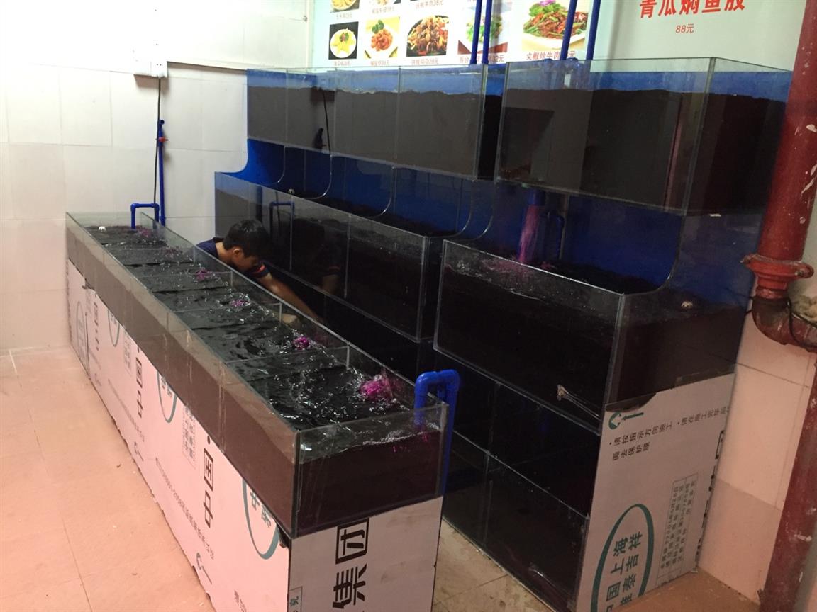 佛山九江鎮海鮮魚池定做價格 酒店土建魚池設計制作