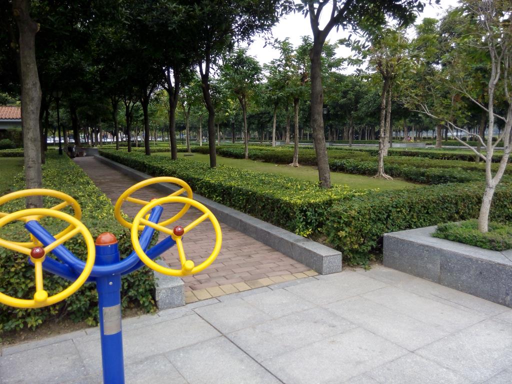 綠化養護管理_找**的就到肇慶活力園林-綠化養護管理