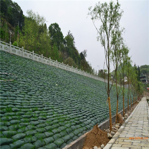 植生袋 江苏生态袋 增强路基