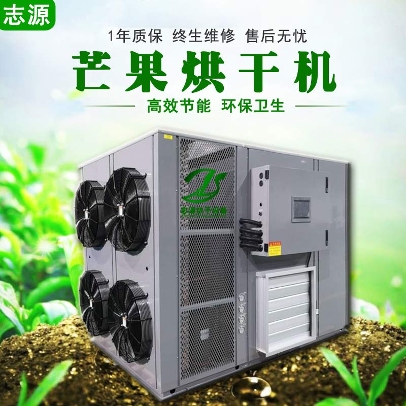 芒果烘干機 芒果片干燥設備