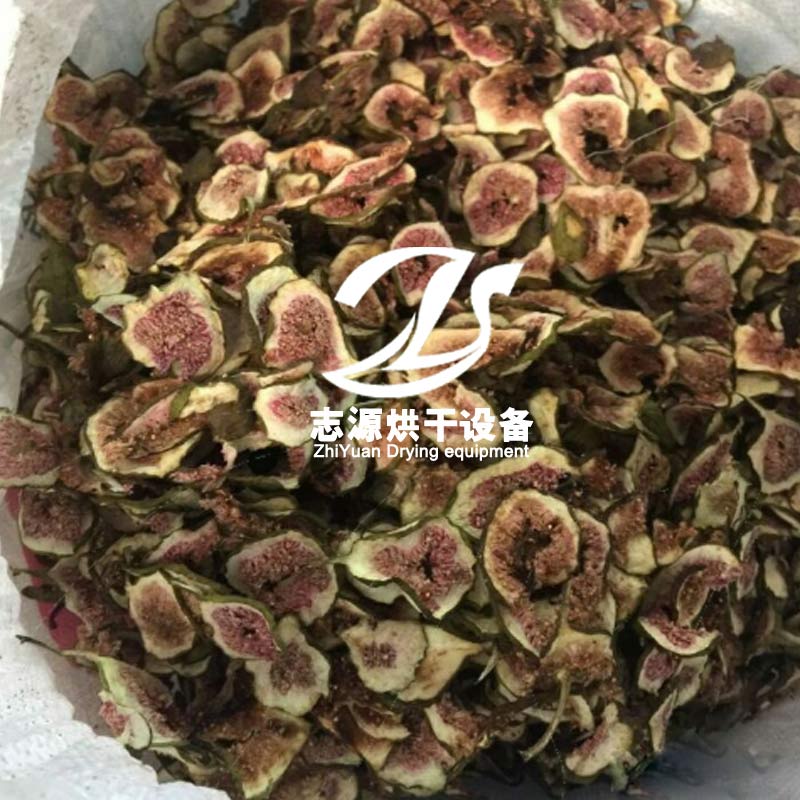 空气能无花果烘干机哪家好 无花果烘干设备 优选品质