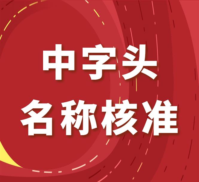 成都无行政区划总局核名