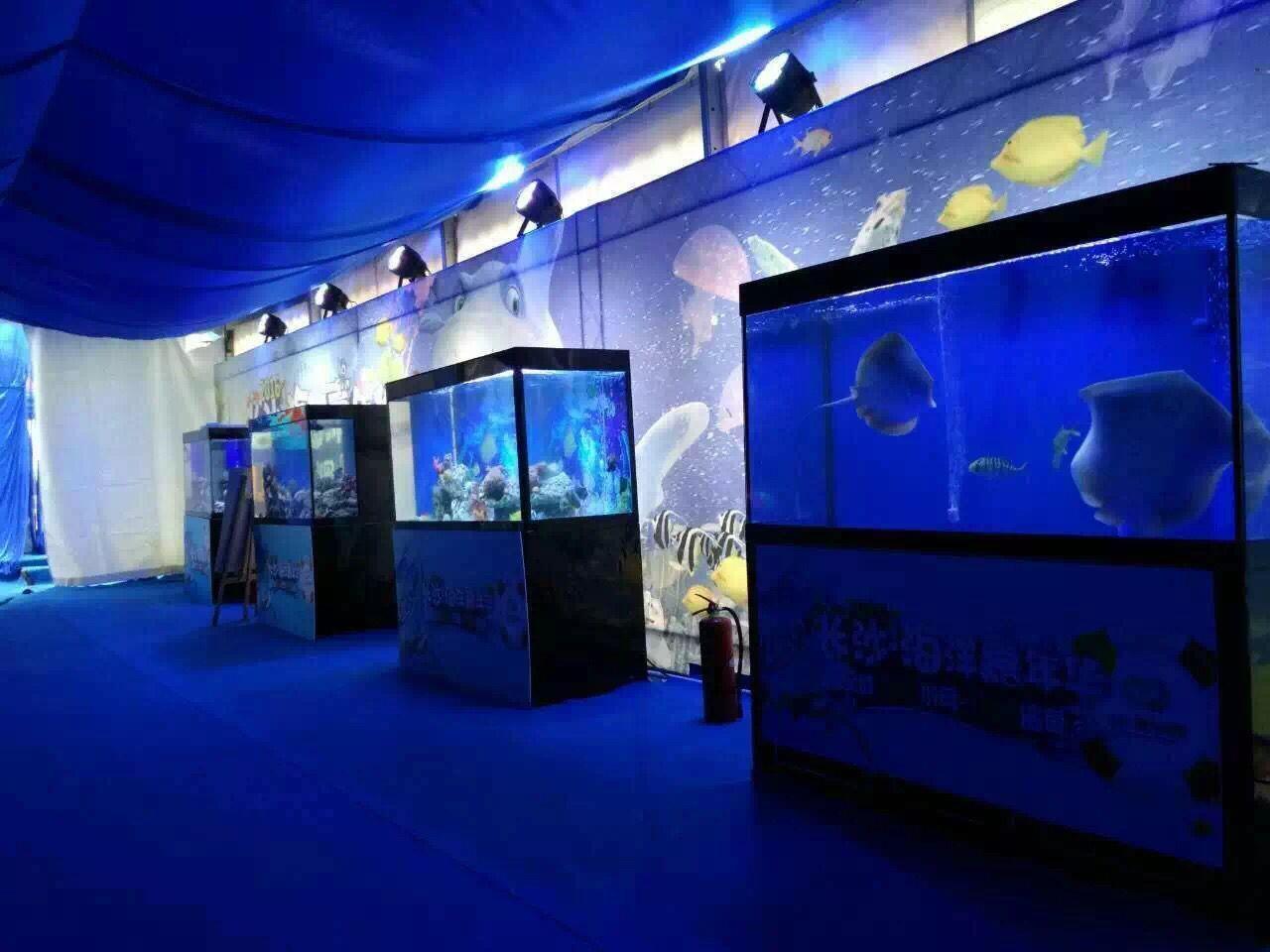 蕪湖海洋展資源 創意新穎 方案具體