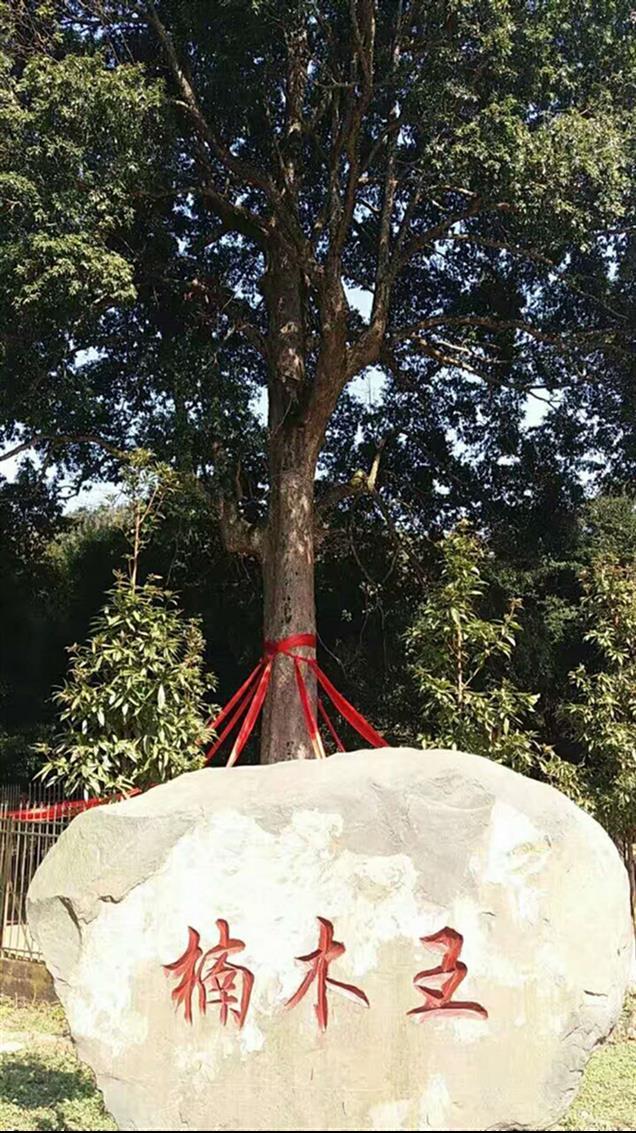 呼和浩特柳州棺材什么牌子好 聯(lián)系我們獲取更多資料