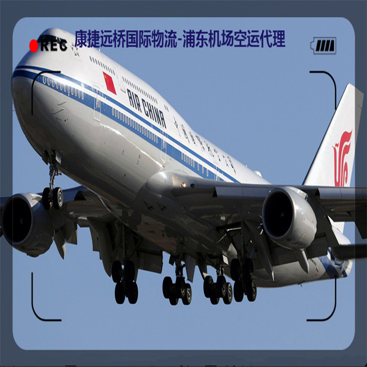 北京專業從事德國空運哪家好 空運無極限