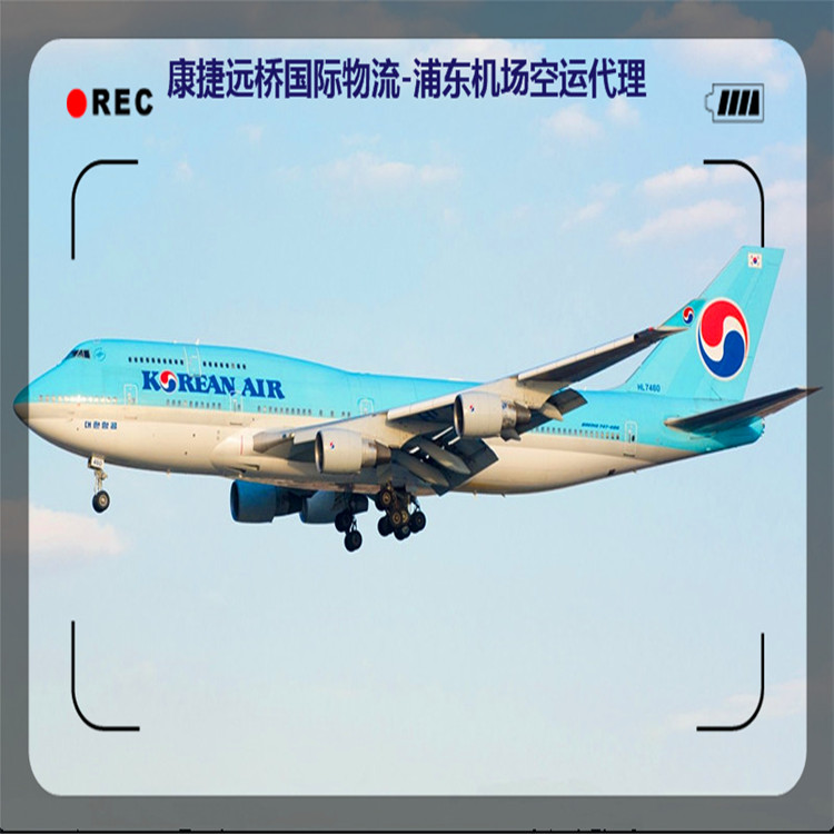 北京專業從事德國空運出口 提供上海提貨代理出口服關