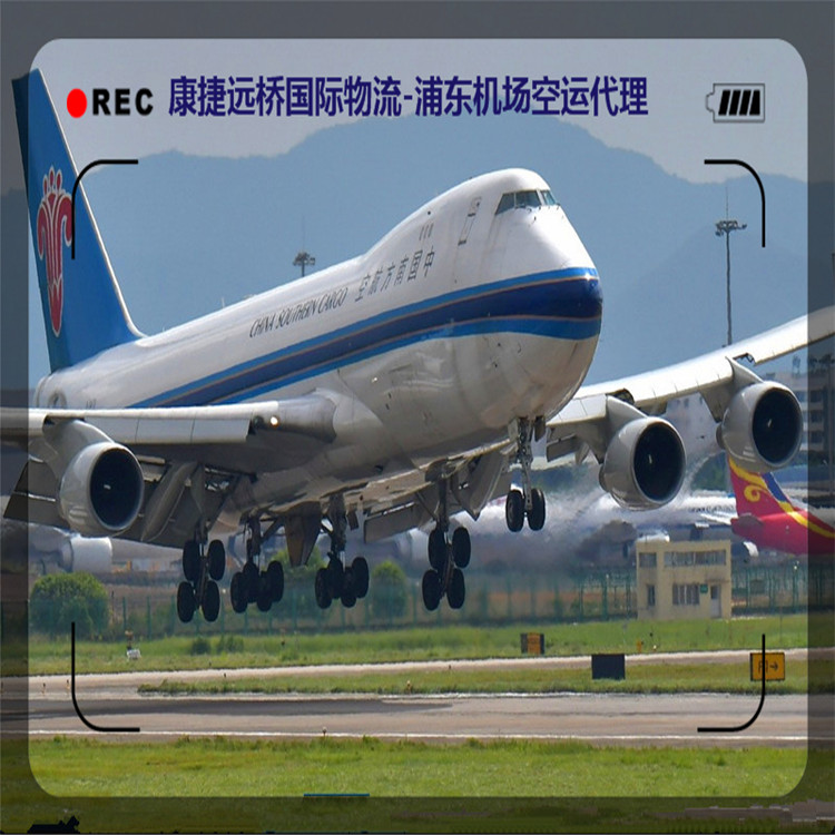 上海專業從事法國空運哪家好 上海航空物流服務商