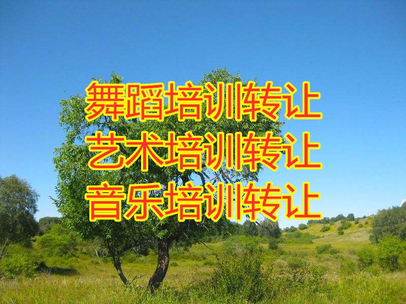 北京房山舞蹈培訓(xùn)，繪畫培訓(xùn)執(zhí)照收購流程