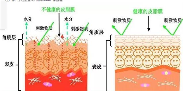 鞍山神经酰胺修复水oem定做