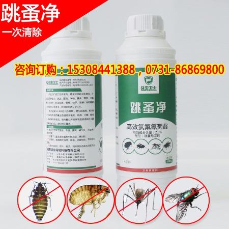 怎么樣滅跳蚤 跳蚤藥哪里有賣 家庭用什么藥殺跳蚤效果好