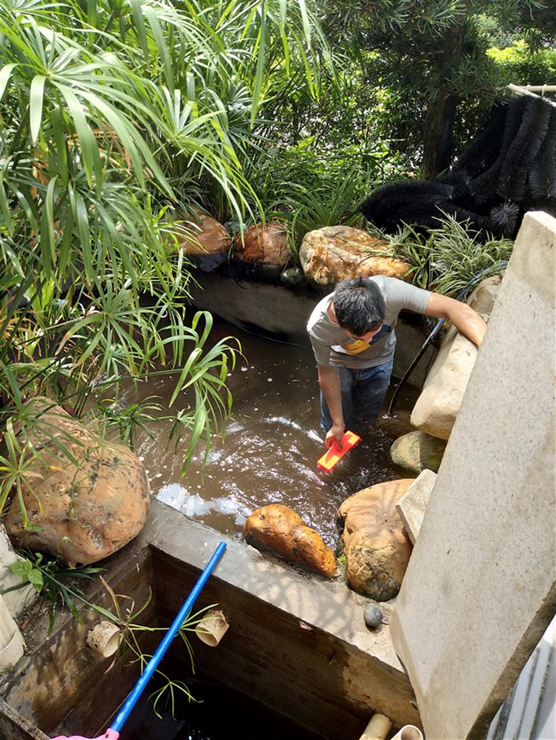 荔湾贝壳鱼池清洗消毒贵不贵