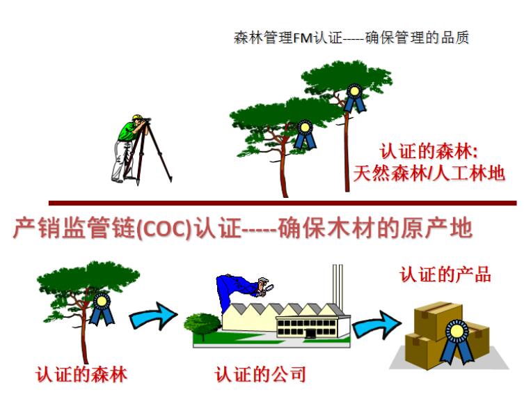 中山正规FSC认证辅导