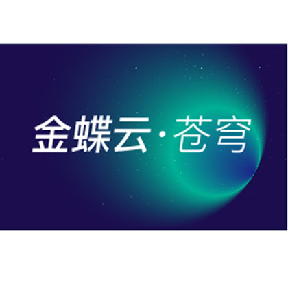 宜賓云服務平臺金蝶云蒼穹SaaS 服務