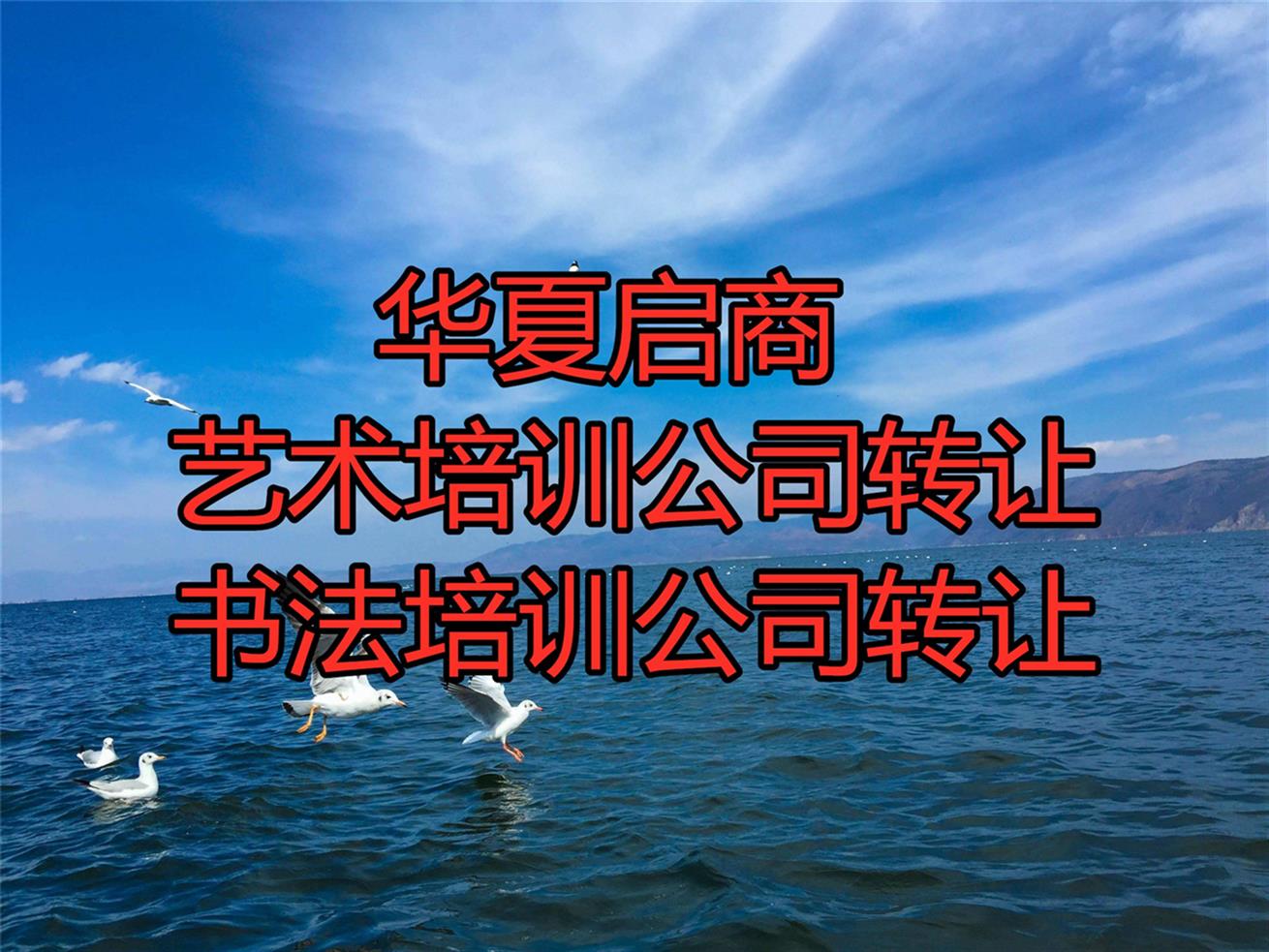 藝術培訓公司轉讓，音樂培訓公司收購費用