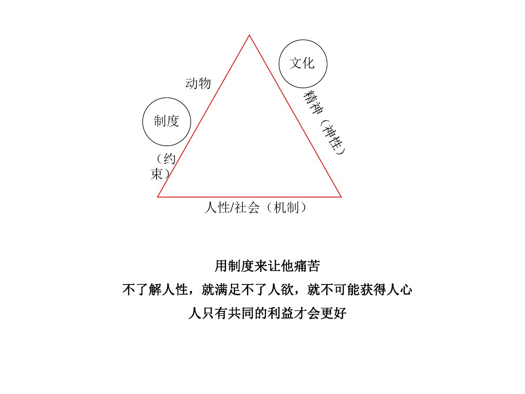 如何分配大脑银行课程如何建立团队