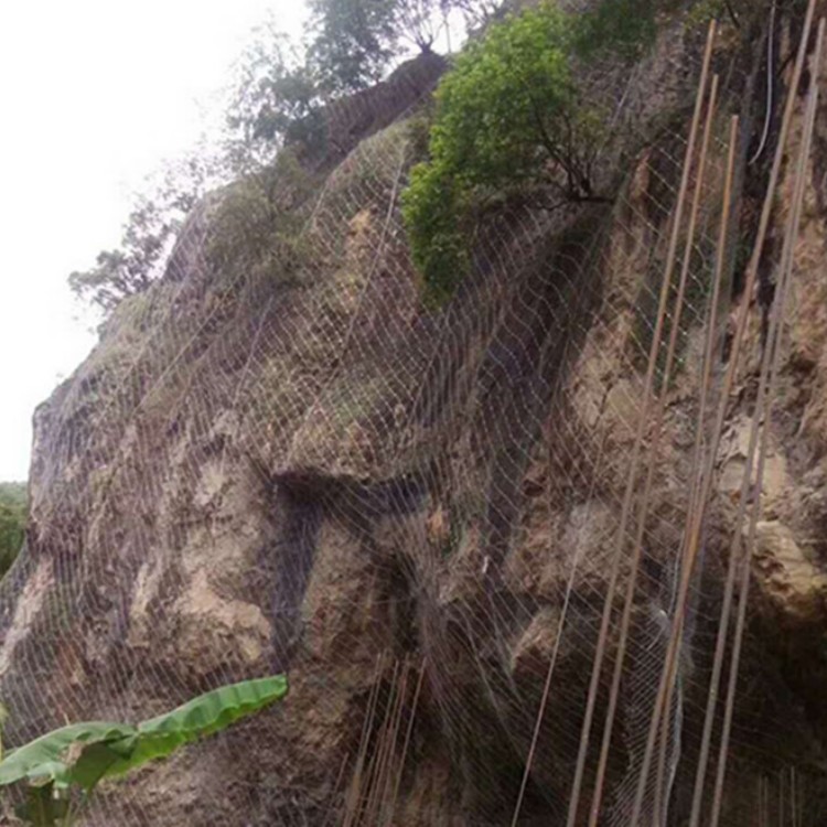 路基边坡防护网价格