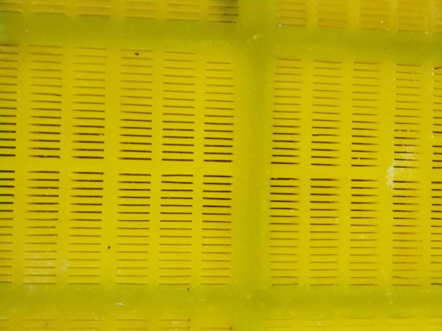 撫州脫水篩網 技術成熟 產品穩定