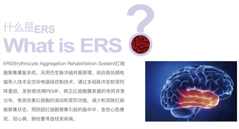 長沙紅細胞聚集干預設備 ERS系統 促進紅細胞攜氧能力