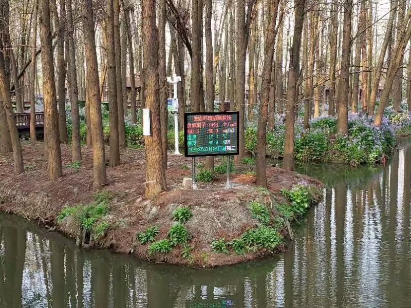 驻马店负氧离子检测仪 欢迎致电