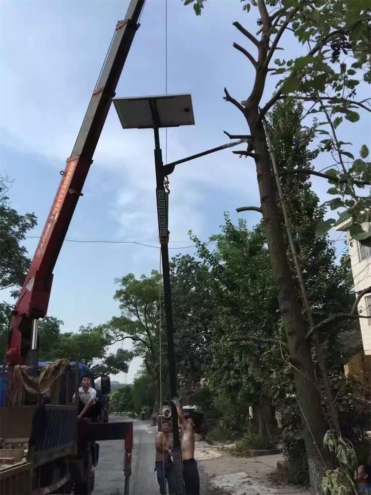 丹东锂电池太阳能道路灯灯杆