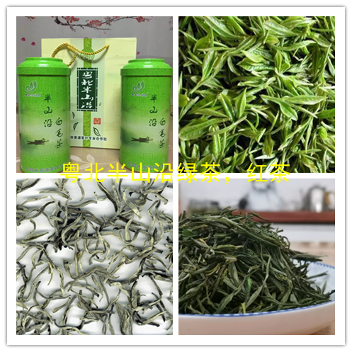 深圳綠茶春尖茶葉綠茶系列品茶紅茶加工春尖茶
