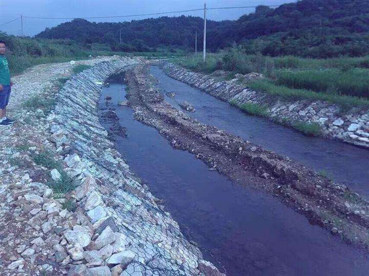 泰州绿滨垫