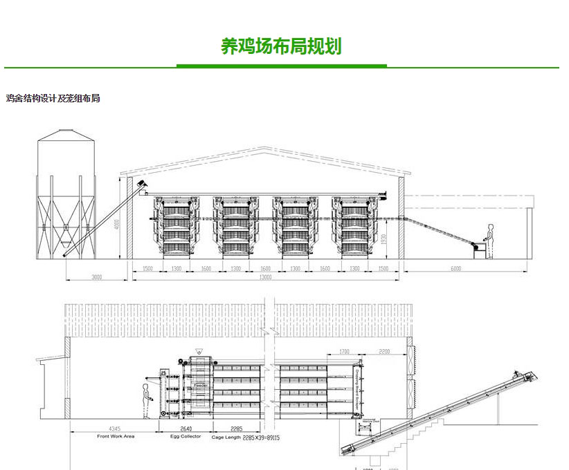 全自动蛋鸡养殖设备