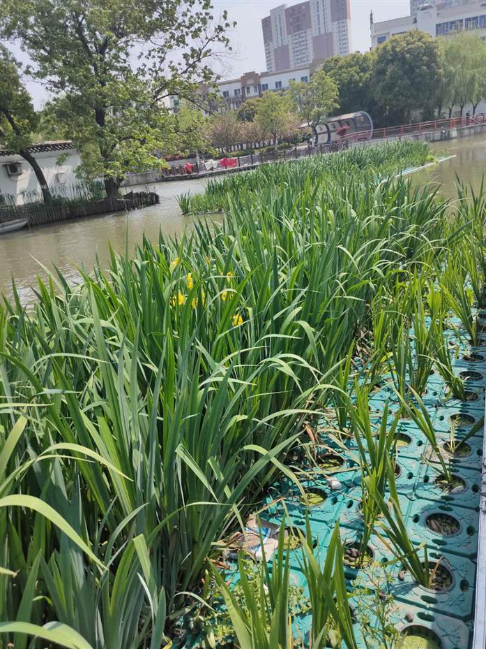 辽阳太阳能平板闸智能雨污分流设备