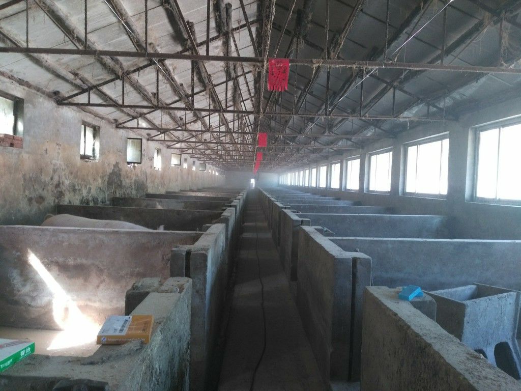 羊場圈舍噴霧消毒設備 高壓原理噴霧消毒器械
