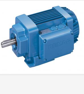 DEMAG變頻識別單元FAW-1,220-240V
