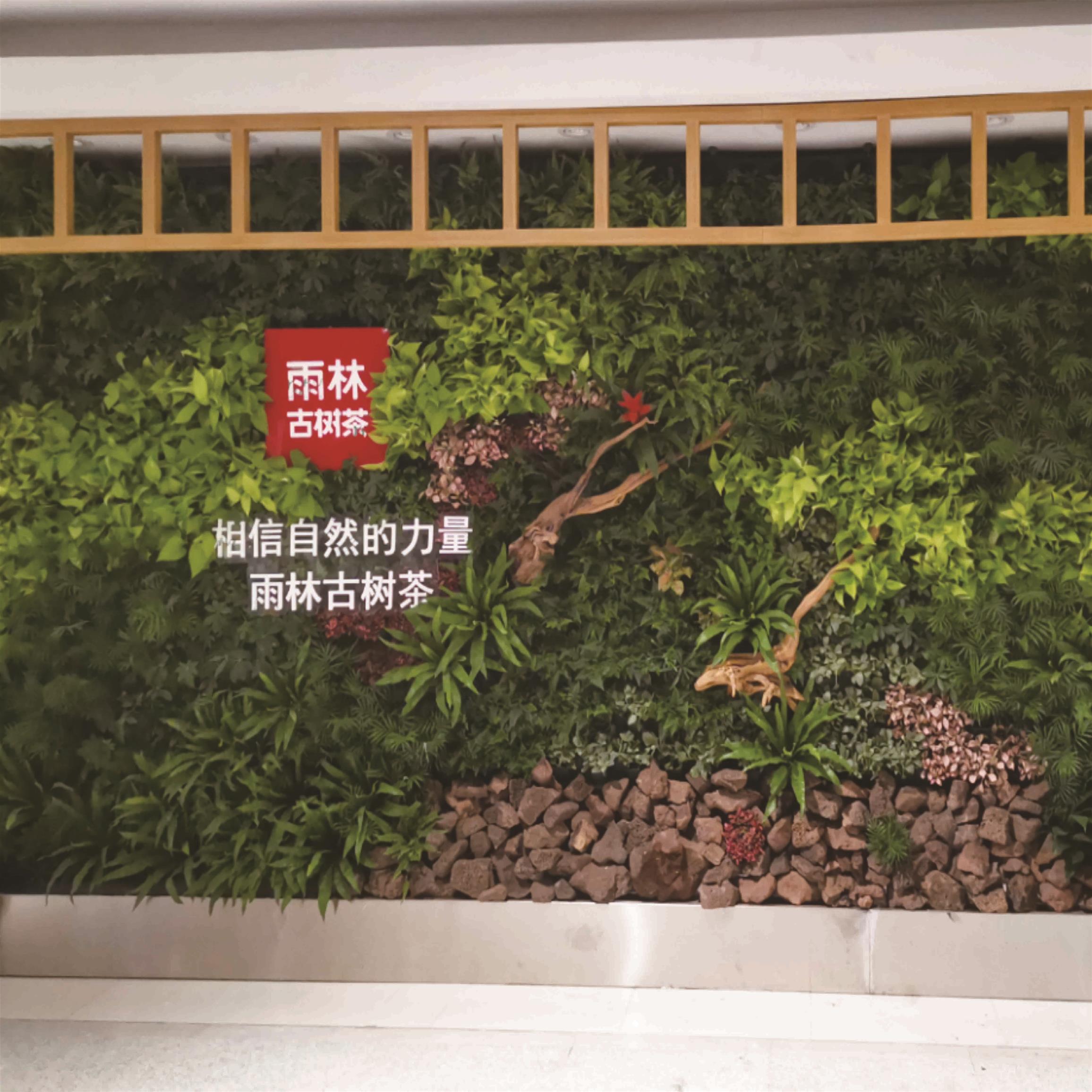植物墻綠化 植物墻 規格齊全