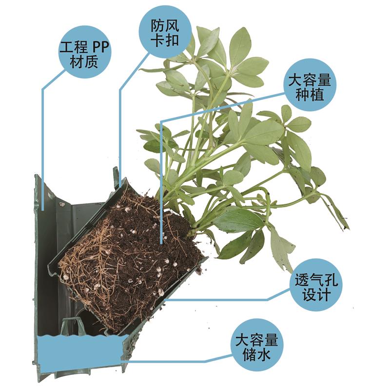 重庆全新植物墙容器价格