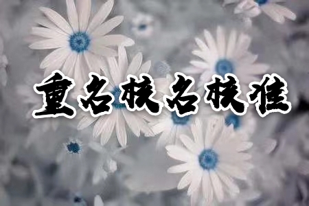 國家局核名注冊 加急核名