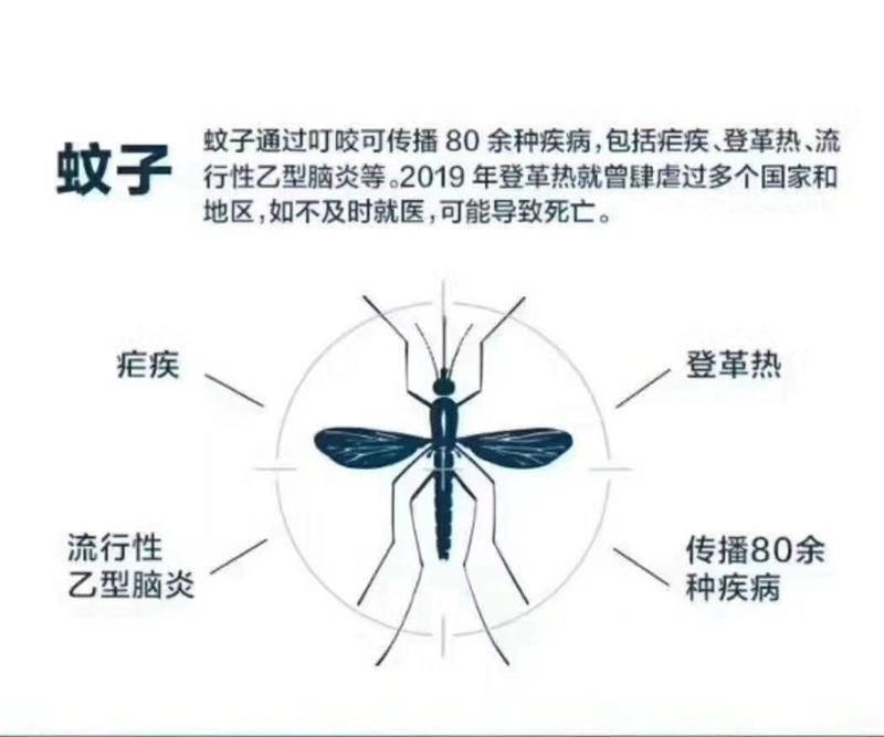 湘潭公司杀虫公司