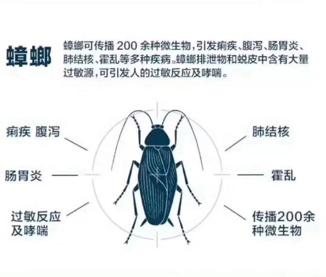 株洲工廠滅蟲 除四害 安全可靠