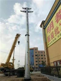 黑龍江220KV鋼桿 10千伏鋼桿基礎(chǔ)打樁霸州實體廠家