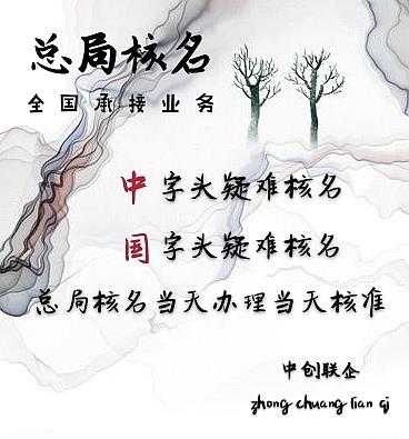 怎么辦理公司網上核名