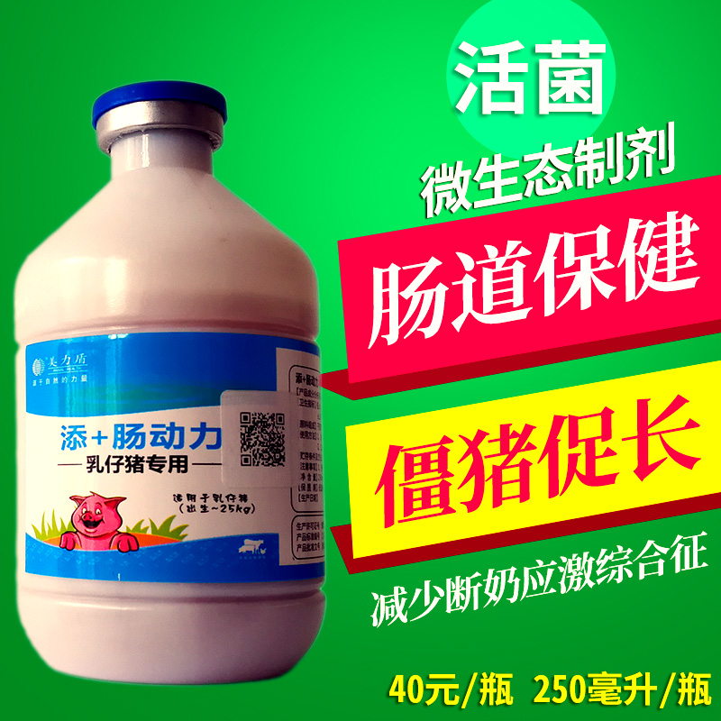 母源性仔猪拉稀用乳酸菌活菌肠动力