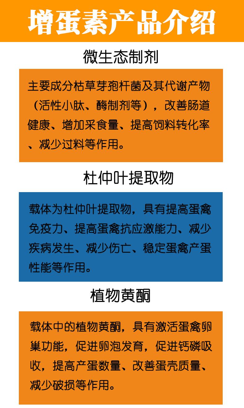 提高土鸡蛋鸡的产蛋量产蛋率增蛋素