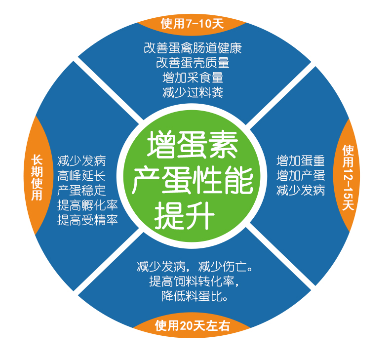 用增蛋素蛋壳质量改善减少破损