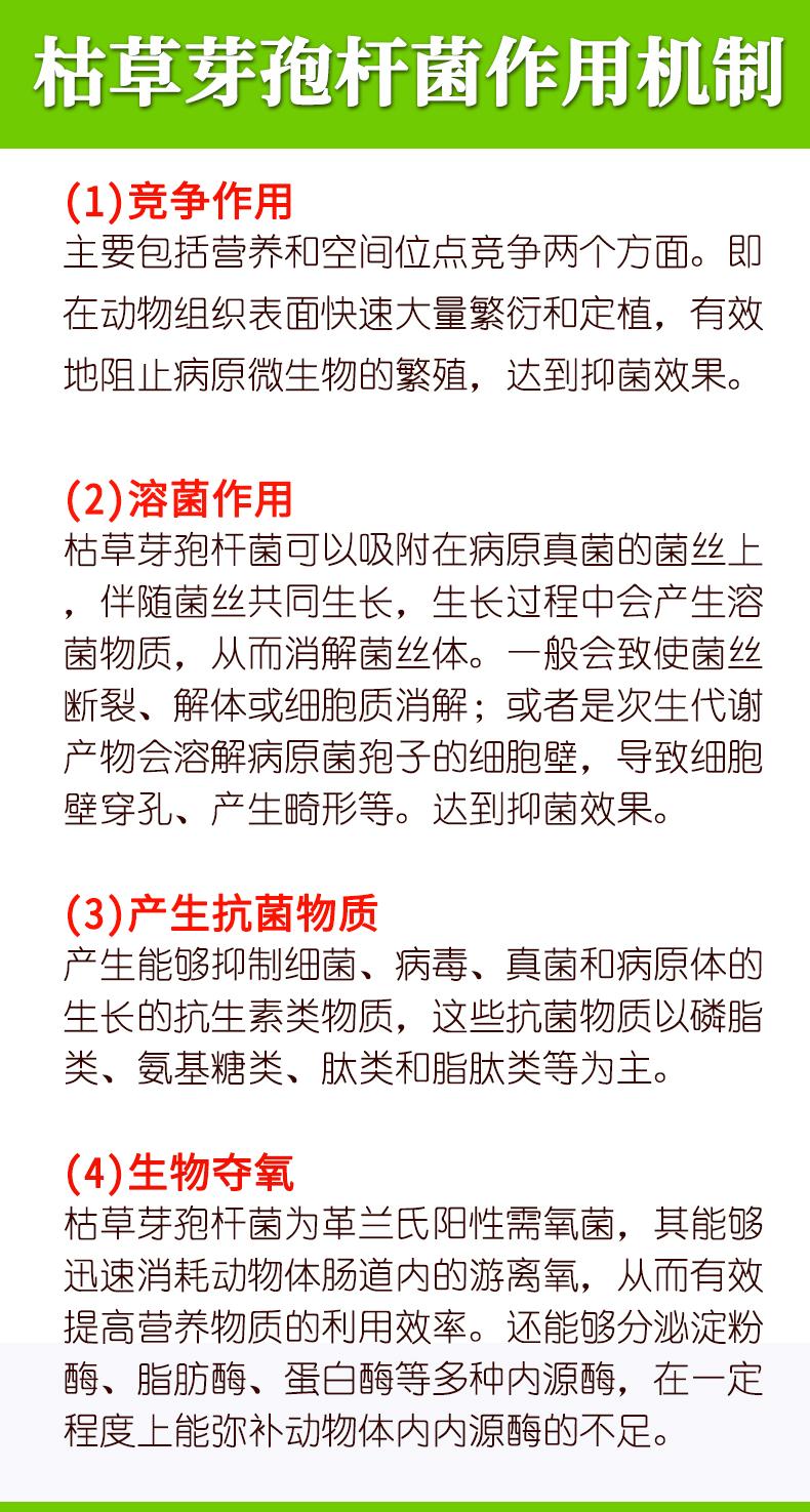 枯草芽孢净化水质净水流程