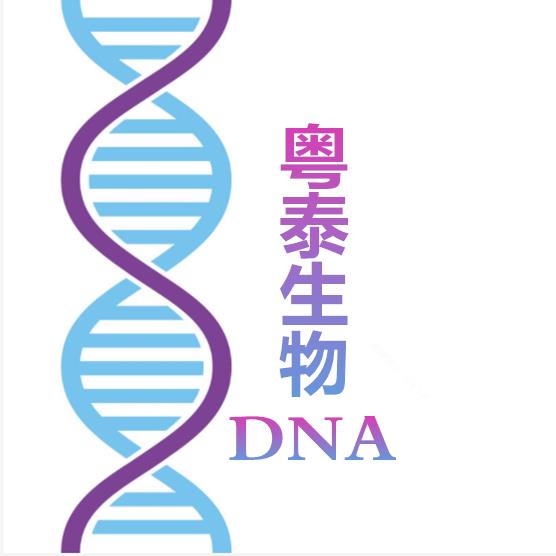 承德染色體異常遺傳病篩查費用