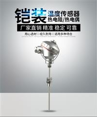 電廠**熱電偶WRN-230測溫0-800度 廠家**