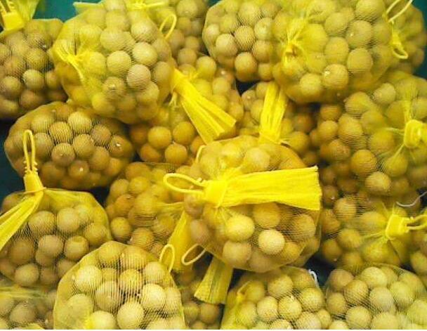 昆明網套價格