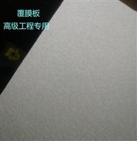 礦棉板  河北礦棉板廠  工藝**   價(jià)格實(shí)惠