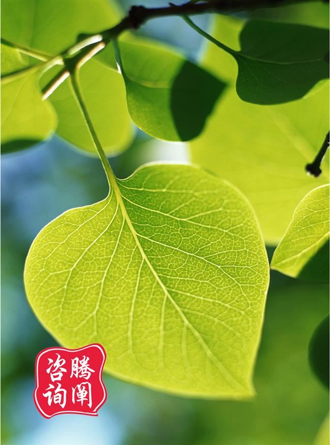 代寫可行性研究報告機構