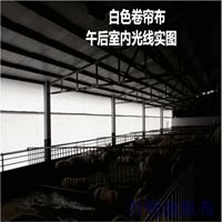 養(yǎng)殖卷簾布廠-遮風擋雨養(yǎng)殖場養(yǎng)殖卷簾布批發(fā)生產